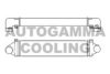 AUTOGAMMA 107481 Intercooler, charger